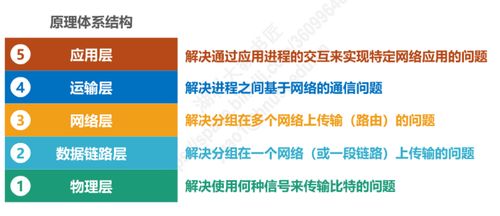 計算機網絡第一章概述小結與計算機系統服務